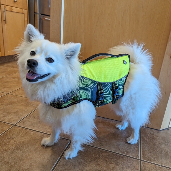 Small Dog / Puppy Lifejacket Flotation Aid - Picture 5 of 5